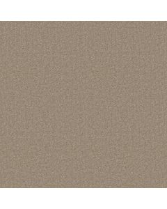 Shaw SPRINTER Baja Carpet - SH-E0577-00740