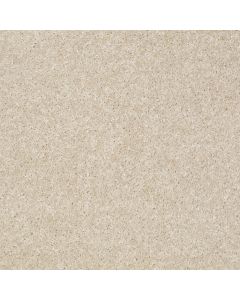 Shaw VICTORY Stucco Carpet - SH-E0590-00105