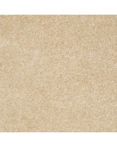 Shaw VICTORY Toasted Coconut Carpet - SH-E0590-00108