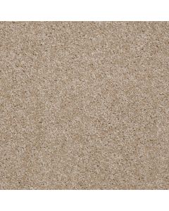Shaw VICTORY Shell Island Carpet - SH-E0590-00120