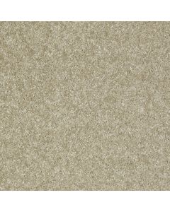 Shaw VICTORY Adonis Carpet - SH-E0590-00135