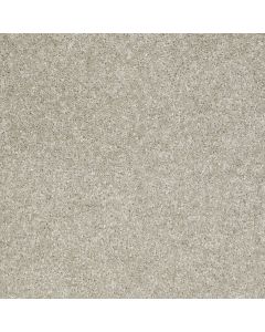 Shaw VICTORY Loft Carpet - SH-E0590-00540