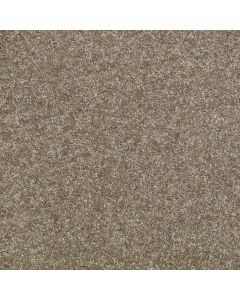 Shaw VICTORY Calming Carpet - SH-E0590-00541