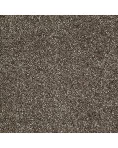 Shaw VICTORY Bunkhouse Carpet - SH-E0590-00742