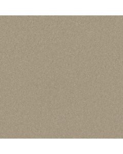 Shaw WELL PLAYED I 15' Agate Carpet - SH-E0596-00102