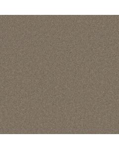 Shaw WELL PLAYED I 15' Wild Rice Carpet - SH-E0596-00105