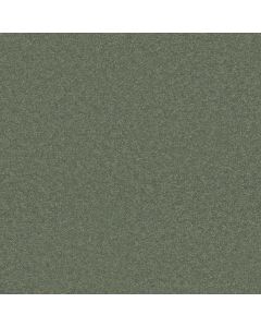 Shaw WELL PLAYED I 15' Spring Leaf Carpet - SH-E0596-00300