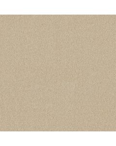Shaw MY CHOICE I Candlewick Glow Carpet - SH-E0650-00101