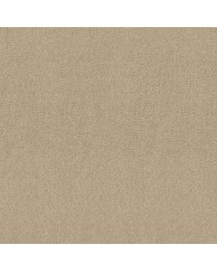 Shaw MY CHOICE I French Linen Carpet - SH-E0650-00103