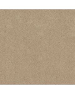 Shaw MY CHOICE I Beach Walk Carpet - SH-E0650-00126
