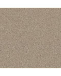 Shaw MY CHOICE I Bare Essence Carpet - SH-E0650-00151
