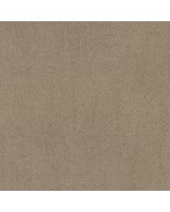 Shaw MY CHOICE I Latta Carpet - SH-E0650-00152