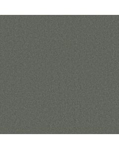 Shaw MY CHOICE I Silver Sage Carpet - SH-E0650-00350