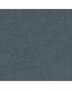 Shaw MY CHOICE I Old Blue Eyes Carpet - SH-E0650-00450