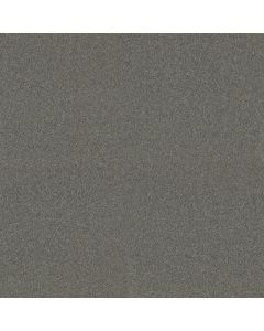 Shaw MY CHOICE I Charcoal Carpet - SH-E0650-00551