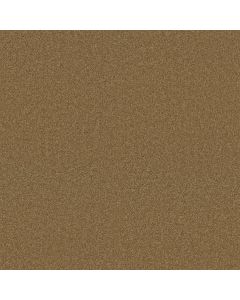 Shaw MY CHOICE I Honey Pot Carpet - SH-E0650-00722