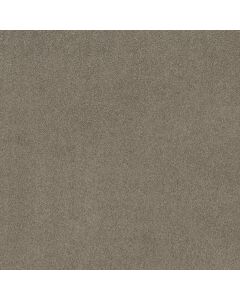 Shaw MY CHOICE I Rocky Coast Carpet - SH-E0650-00750