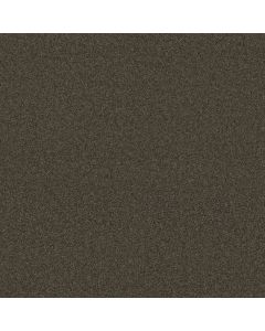 Shaw MY CHOICE I Weathered Wood Carpet - SH-E0650-00759