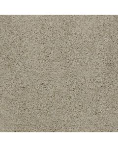 Shaw MY CHOICE II Cityscape Carpet - SH-E0651-00109