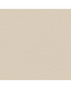 Shaw MY CHOICE III China Pearl Carpet - SH-E0652-00100
