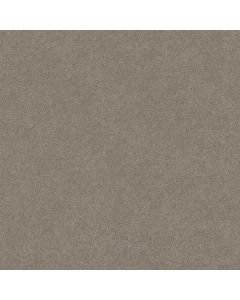 Shaw MY CHOICE III Ash Carpet - SH-E0652-00550