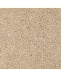 Shaw MY CHOICE PATTERN Mesa Carpet - SH-E0653-00105