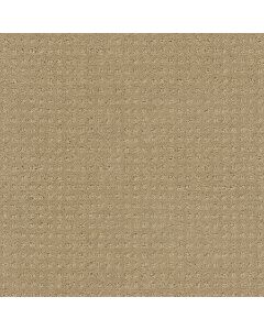 Shaw MY CHOICE PATTERN Clay Stone Carpet - SH-E0653-00108