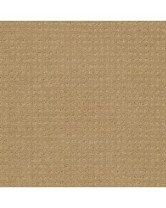 Shaw MY CHOICE PATTERN Honey Pot Carpet - SH-E0653-00722