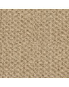Shaw TRULY RELAXED LOOP Mesa Carpet - SH-E0657-00105