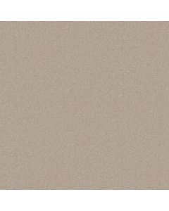 Shaw YOU KNOW IT Linen Carpet - SH-E0807-00104
