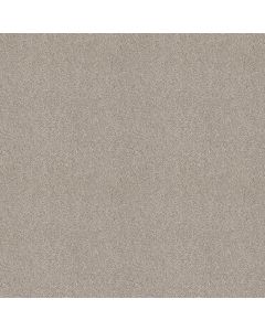 Shaw YOU KNOW IT Catnip Carpet - SH-E0807-00114