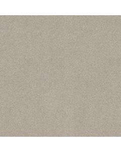 Shaw YOU KNOW IT Cement Mix Carpet - SH-E0807-00116