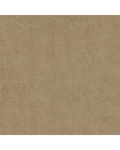 Shaw YOU KNOW IT Oakwood Carpet - SH-E0807-00200