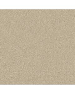 Shaw PARLAY Ivory Carpet - SH-E0811-00150
