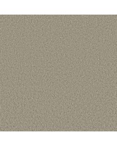 Shaw PARLAY Abalone Carpet - SH-E0811-00153