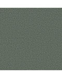 Shaw PARLAY Caribbean Carpet - SH-E0811-00350