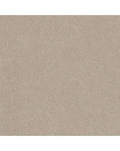 Shaw THAT'S RIGHT Scone Carpet - SH-E0812-00113