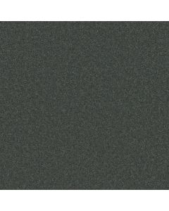 Shaw THAT'S RIGHT Seacliff Heights Carpet - SH-E0812-00300