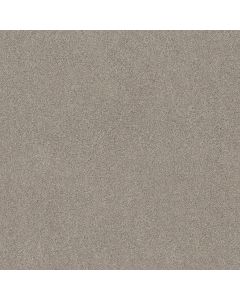Shaw THAT'S RIGHT Frosted Ice Carpet - SH-E0812-00510