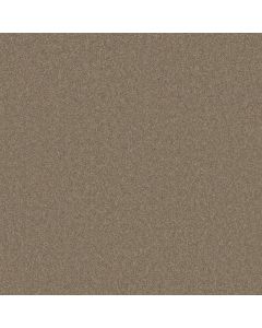 Shaw THAT'S RIGHT Havana Carpet - SH-E0812-00701