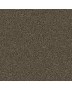 Shaw THAT'S RIGHT Sedona Carpet - SH-E0812-00708