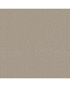 Shaw WHAT'S UP Soft Chamois Carpet - SH-E0813-00103