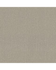 Shaw WHAT'S UP Mist Carpet - SH-E0813-00107