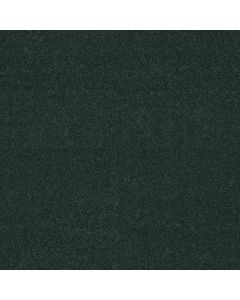Shaw WHAT'S UP Hidden Falls Carpet - SH-E0813-00301