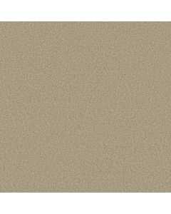 Shaw MAKE IT YOURS (S) Cottage Carpet - SH-E0819-00104