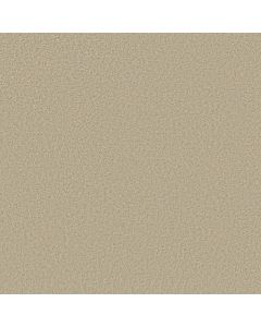 Shaw MAKE IT YOURS (S) Aspen Carpet - SH-E0819-00113