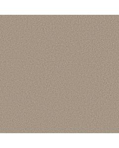Shaw MAKE IT YOURS (S) Abalone Carpet - SH-E0819-00153