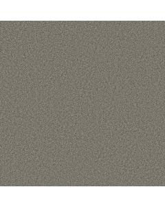 Shaw MAKE IT YOURS (S) Pewter Solid Carpet - SH-E0819-00550