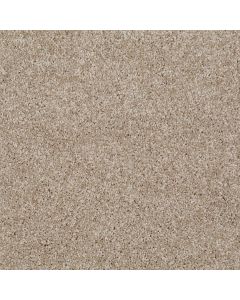 Shaw MAKE IT YOURS (S) Wood Bridge Carpet - SH-E0819-00700