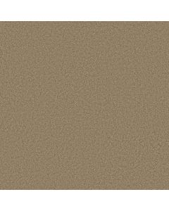 Shaw MAKE IT YOURS (S) Bungalow Carpet - SH-E0819-00701